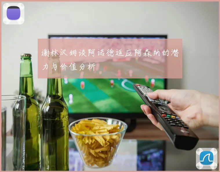谢林汉姆谈阿诺德适应阿森纳的潜力与价值分析